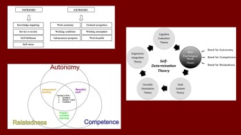 Investigating the Relationship between Perceived Choice and Self-Awareness (SDT) and Students' Experience of Fascination (FLOW)